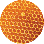 Honig-Extrakt