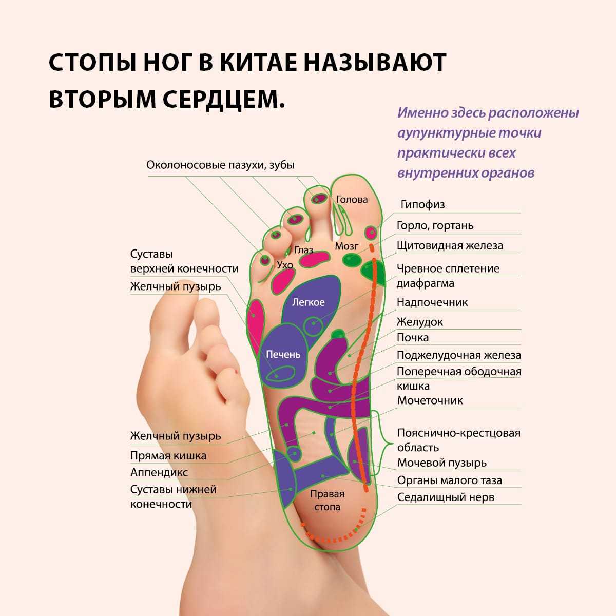 Пластырь для ног детоксикационный Master Herb | TianDe