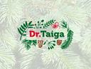 Dr. Taiga 