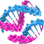 Acetyl hektapepsyd -30