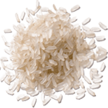 Rýžové proteiny