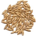 Avena sativa peptide