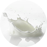 Mléčné bílkoviny