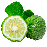 Bergamot