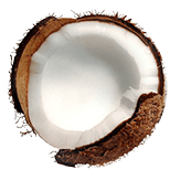 Coconut