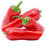 Capsicum annuum