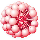 Komplex PORE REDUCTYL