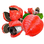 Guarana extract