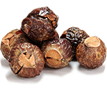 Soapnut