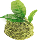 Extrakt zo zeleného čaju
