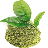 Green tea extract