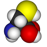 Cysteine