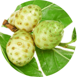 Noni