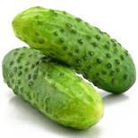 Cucumis sativus