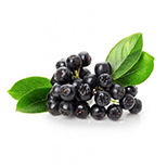 Black chokeberry fruit