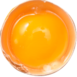 Ovum oil