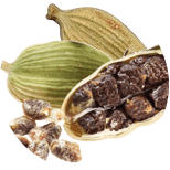 Cardamom